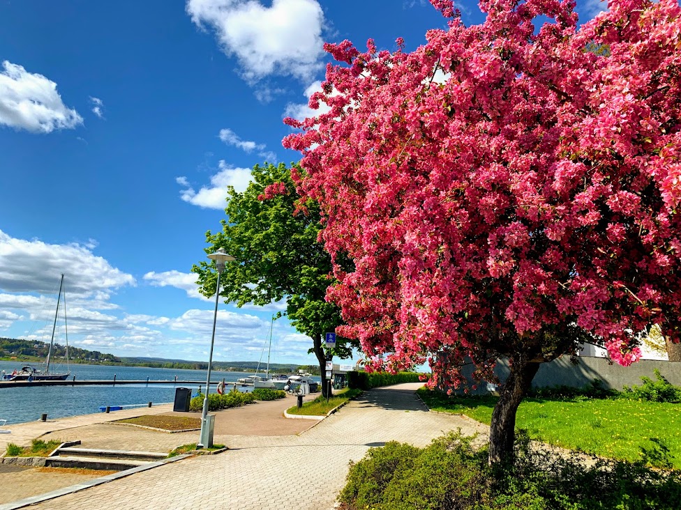 Tonsberg Norway